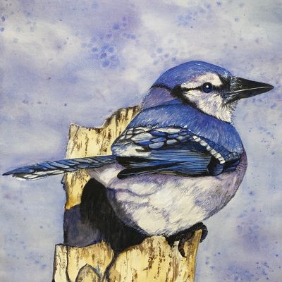 GEAIS BLEU