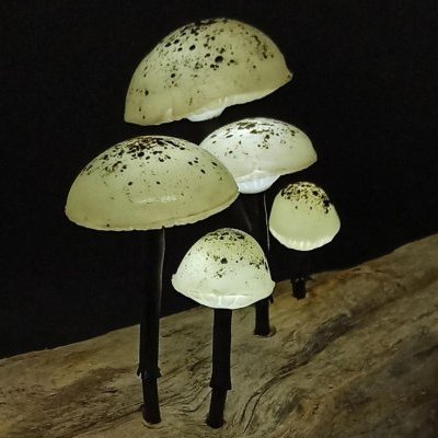 Noir et blanc
