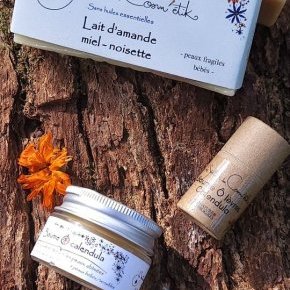 inspi automne