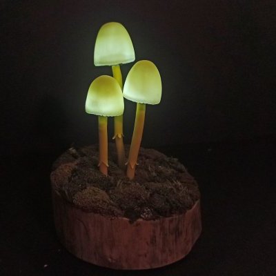 Psilus