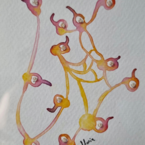 Graines de lumière (série)