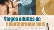 affiche web stage adulte A3 page 0001