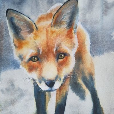 2 La curiosité est un vilain défaut Aquarelle Faustine